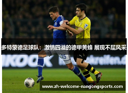 多特蒙德足球队：激情四溢的德甲黄蜂 展现不屈风采